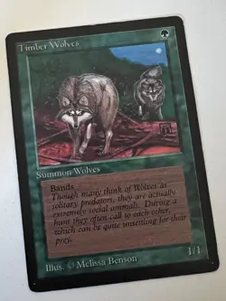 Magic the Gathering MTG Beta Timber Wolves LP+ (Beta Bob) - Image 1