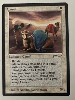 Magic the Gathering MTG Arabian Nights Camel MP (Beta Bob) - Image 1