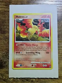 Pokemon TCG Moltres Holo Rare Card 10/100 Majestic Dawn 2008 BLEED LP/MP - Image 1