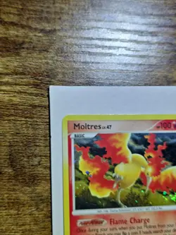 Pokemon TCG Moltres Holo Rare Card 10/100 Majestic Dawn 2008 BLEED LP/MP - Image 4