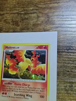 Pokemon TCG Moltres Holo Rare Card 10/100 Majestic Dawn 2008 BLEED LP/MP - Image 5