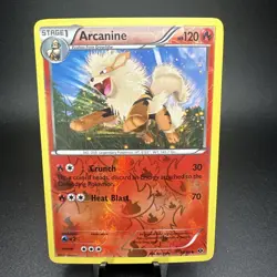 Arcanine 13/99 Next Destinies Reverse Holo Pokemon TCG NM/LP FAST FREE SHIPPING - Image 1