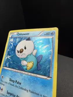 Pokemon TCG Black & White Oshawott BW08 Black Star Promo HP/Crease - Image 2