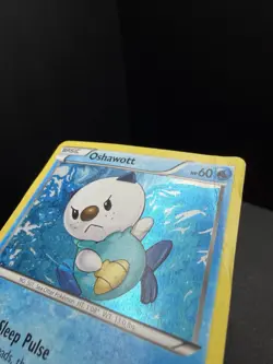 Pokemon TCG Black & White Oshawott BW08 Black Star Promo HP/Crease - Image 3