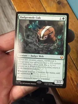 Badgermole Cub - 167 - TLA - NM - MTG Magic the Gathering - Image 3
