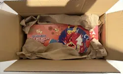 2025 Pokemon SV-P Japanese Special Box Pokemon Center Hiroshima's Pikachu - Image 2