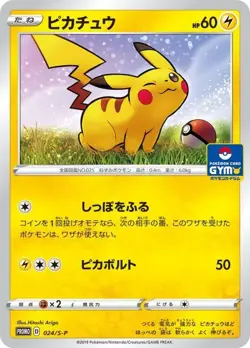 Pikachu 024/S-P - Pokemon Card GYM PROMO Pokemon Card Japanese [Near Mint] - Image 1