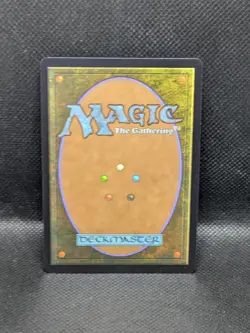Plains (Chocobo Track Foil) - 478 - L - Magic The Gathering: Final Fantasy - Image 2