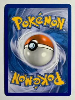 Tepig - BW07 Black and White Promos #BW7 (2011) Promo Holo NM Pokemon - Image 2