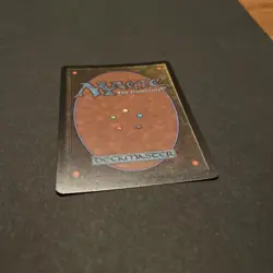 Ocelot Pride Textless Foil Store Championship Promo MTG Lorwyn - Image 5