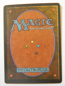 TUNDRA : MTG : REVISED : DUAL LAND :VERY FINE/NEAR MINT : 1994 : SEE PHOTO'S - Image 2