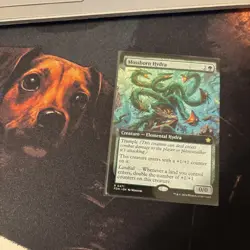 Mtg Mossborn Hydra Extended Art - Foundations + Bonus Foils - Image 1