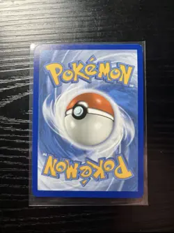Pokemon Koraidon TCG Black Star Promo #14 Scarlet & Violet Base NM Condition - Image 4