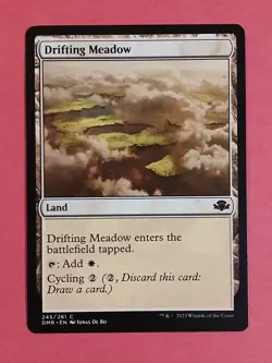 MTG - Dominaria Remastered - Regular - #245 - Drifting Meadow - LP - Image 1