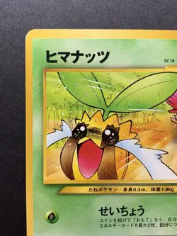 Sunkern No.191 Natta Wake Vol.4 Promo 2000 - Japanese Pokemon Card - Image 3