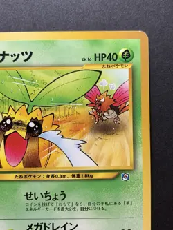Sunkern No.191 Natta Wake Vol.4 Promo 2000 - Japanese Pokemon Card - Image 4