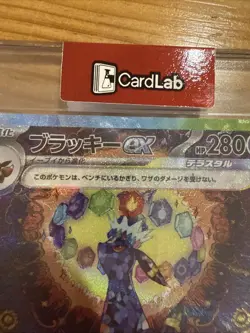 UMBREON EX 217/187 Special Art Rare Terastal Festival Pokemon Japanese One Touch - Image 5