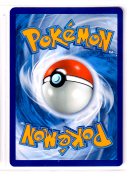 Pikachu 49/203 Evolving Skies ENGLISH Common 2021 Near Mint Pokemon - Image 2