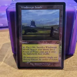 Magic: The Gathering Windswept Heath Land Foil Retro Frame - Image 1