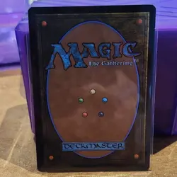 Magic: The Gathering Windswept Heath Land Foil Retro Frame - Image 2