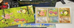 Pokemon Tropical Island Jungle Post Card Set 1999 Mint Include Display Case JPN - Image 2