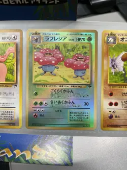 Pokemon Tropical Island Jungle Post Card Set 1999 Mint Include Display Case JPN - Image 4