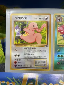 Pokemon Tropical Island Jungle Post Card Set 1999 Mint Include Display Case JPN - Image 5