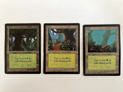 MTG Beta Complete Set of Lands (15 cards), minor edge wear - Image 2