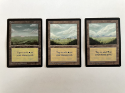 MTG Beta Complete Set of Lands (15 cards), minor edge wear - Image 5