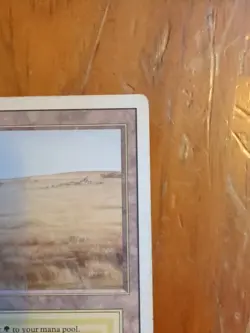 Savannah Revised Edition MP - Image 3