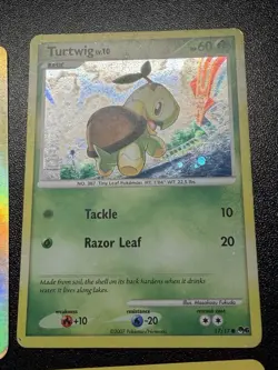 Pokemon POP Series Lot (Mixed) POP 1 5 6 7 8 Holo Metagross Turtwig Zangoose - Image 5
