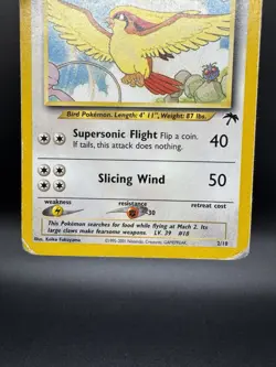 Pokemon TCG Pidgeot Card Southern Islands 2/18 - Damaged - Image 4