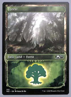 Forest - Showcase - 313 - (10X) Core Set 2021 (M21) MTG - Image 1