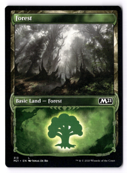 Forest NM* SHOWCASE Core Set 2021 M21 ENGLISH 313 mtg -UnltdCards - Image 1