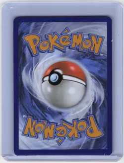 Charizard ex Promo SV: Scarlet & Violet Promo Cards 161 NM - Image 2