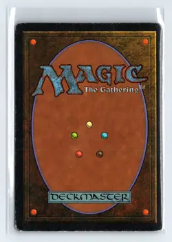 (2x) WOOLLY SPIDER – MTG Magic the Gathering Card – Ice Age – Common - Image 2