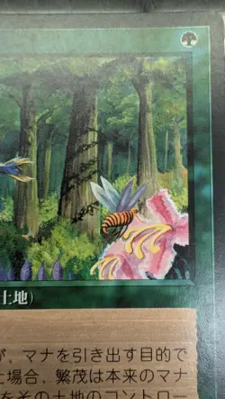 Wild Growth MTG 4th Edition Foreign Black Border Japanese - Image 3