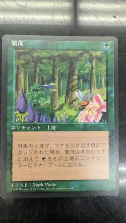 Wild Growth MTG 4th Edition Foreign Black Border Japanese - Image 4
