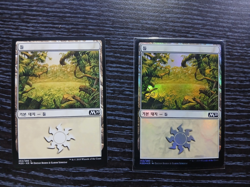 (Foil) [NM] MTG Korean, Core Set 2020, Basic lands for kruzsnyics - Image 1