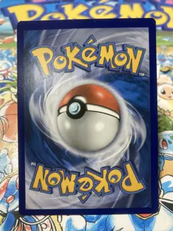 Pokemon TCG Pikachu Trainer Kit - Lycanroc & Alolan Raichu 14/30 Regular Common - Image 3