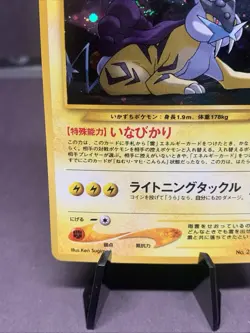Pokemon TCG JPN Neo Revelation Raikou Holo Rare No. 243 WOTC VTG LP/NM 2000 - Image 5