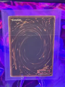 Blue-Eyes White Dragon (SDK-001) Starter Deck: Kaiba Yu-Gi-Oh! TCG Card Stock - Image 2