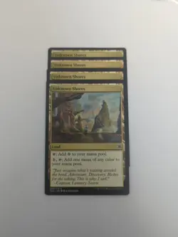 (4) Unknown Shores *PLAYSET* Ixalan Regular NM MTG - Image 1