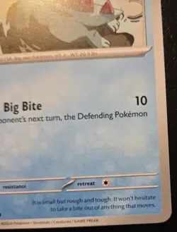 Totodile 039/162 Common Scarlet & Violet: Temporal Forces Pokemon TCG - Image 5