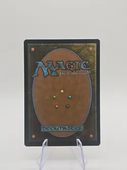 Starting Town Final Fantasy Regular - Image 2