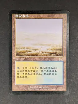 MTG Flooded Strand, Onslaught S- CHINESE - Slightly Played +/-, SP - Image 1