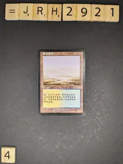 MTG Flooded Strand, Onslaught S- CHINESE - Slightly Played +/-, SP - Image 2