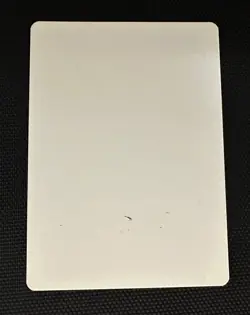 MTG Bitterblossom Artist Proof Signed Guay morningtide - Image 2