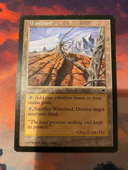 MTG Tempest Wasteland LP - Image 1