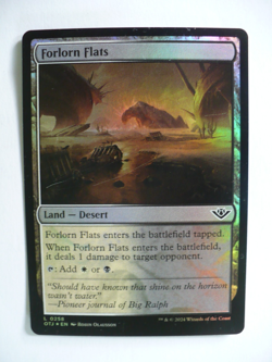 Magic the Gathering 20 Foil Land Cards - Image 2